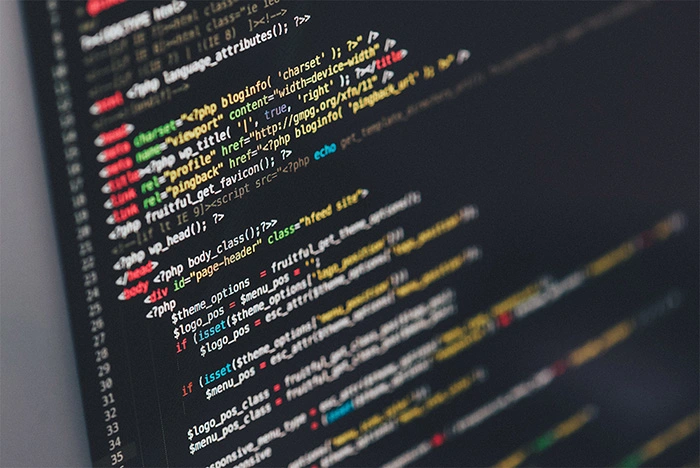Team working on web design